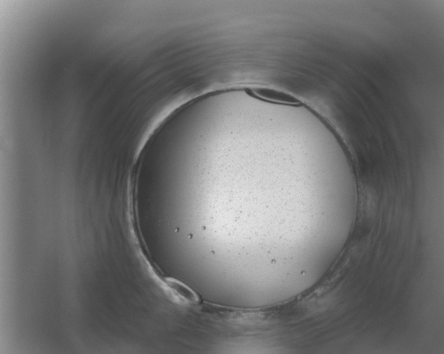 X0000059821006200511041715