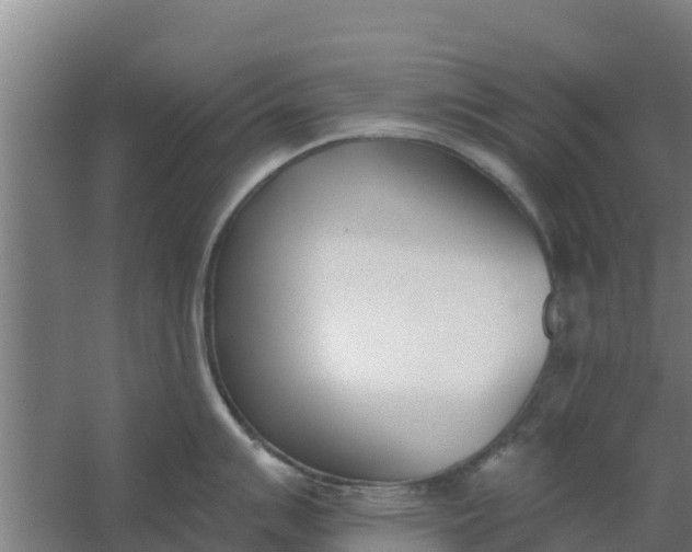 X0000059821007200511041715