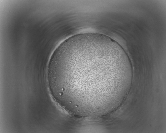 X0000059821008200511041715