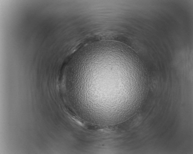 X0000059821010200511041714