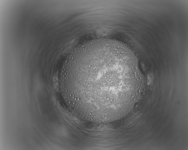 X0000059821011200511041714