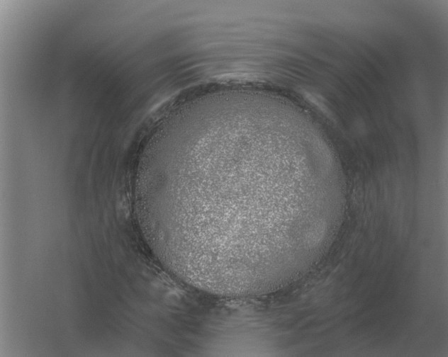 X0000059821015200511041714