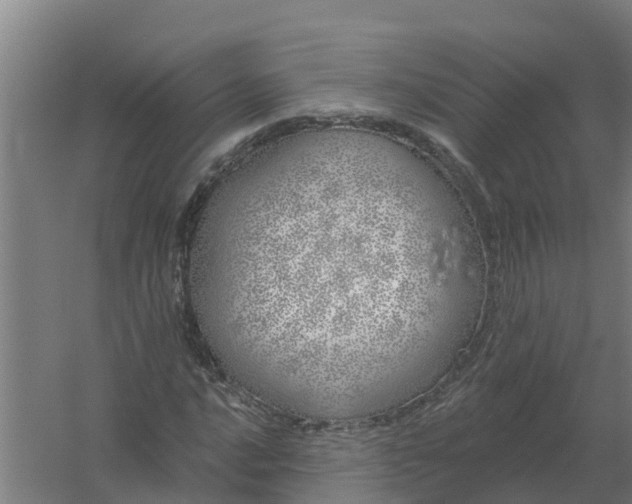 X0000059821016200511041714