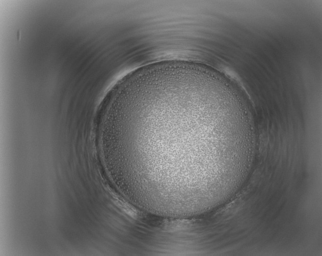 X0000059821019200511041714