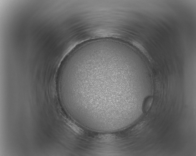 X0000059821023200511041714