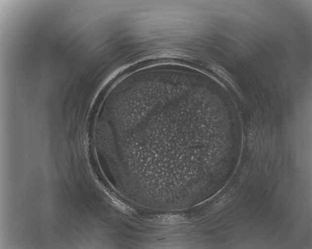 X0000059821024200511041714