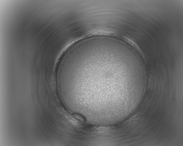 X0000059821027200511041714