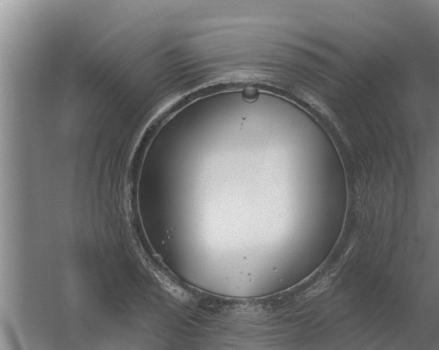 X0000059821029200511041714