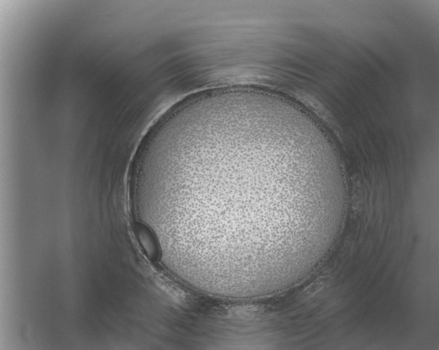 X0000059821031200511041714