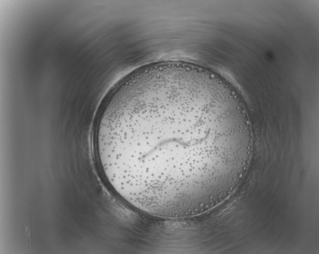 X0000059821032200511041714