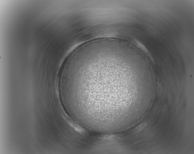 X0000059821035200511041714