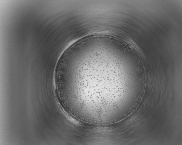 X0000059821036200511041714