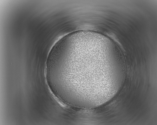 X0000059821040200511041714