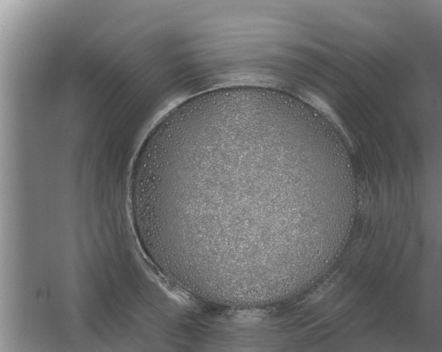 X0000059821043200511041714