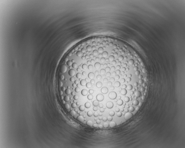 X0000059821044200511041714