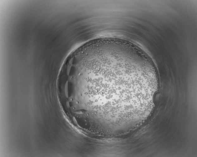 X0000059821045200511041714