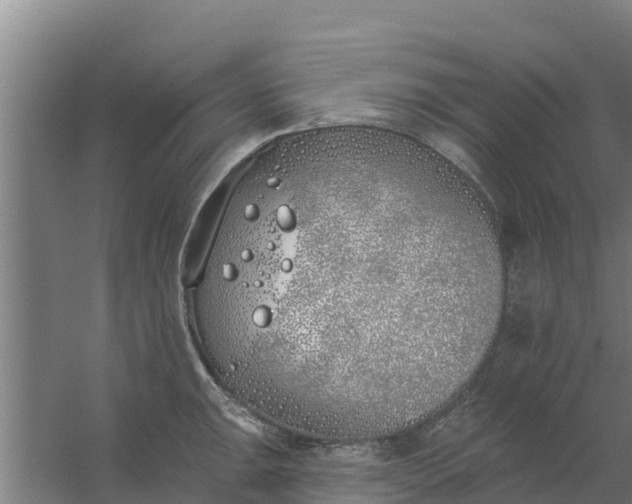 X0000059821047200511041714