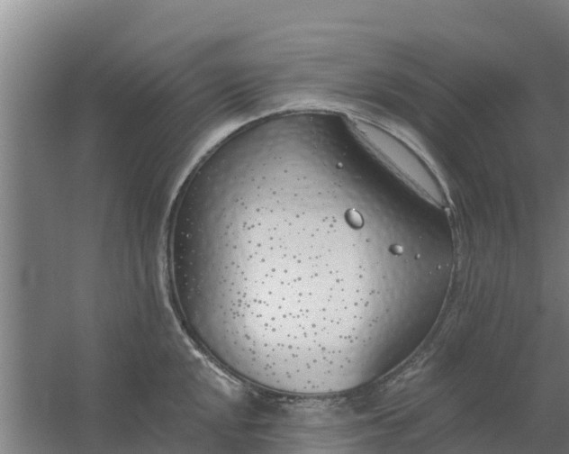 X0000059821048200511041714