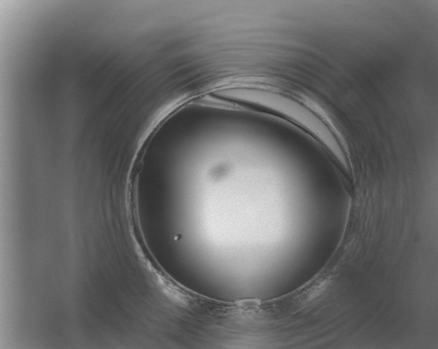 X0000059821050200511041714