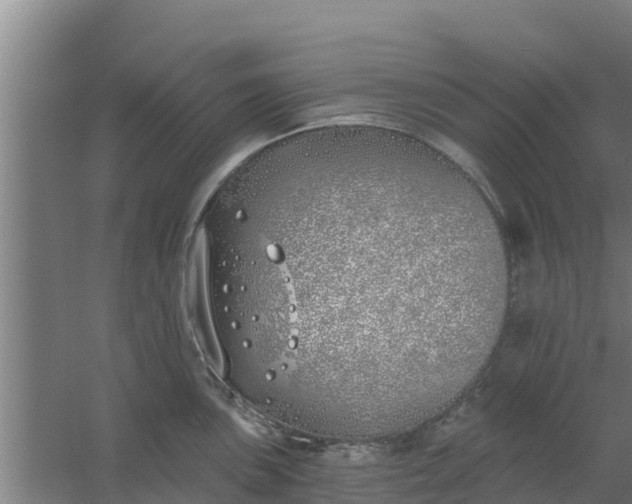 X0000059821051200511041714