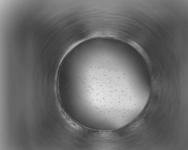 X0000059821052200511041714