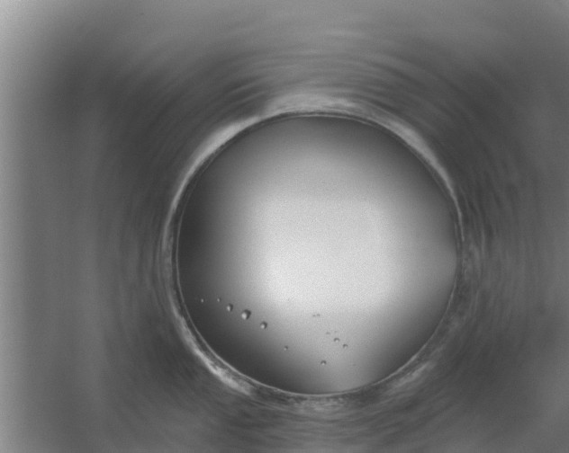 X0000059821053200511041714