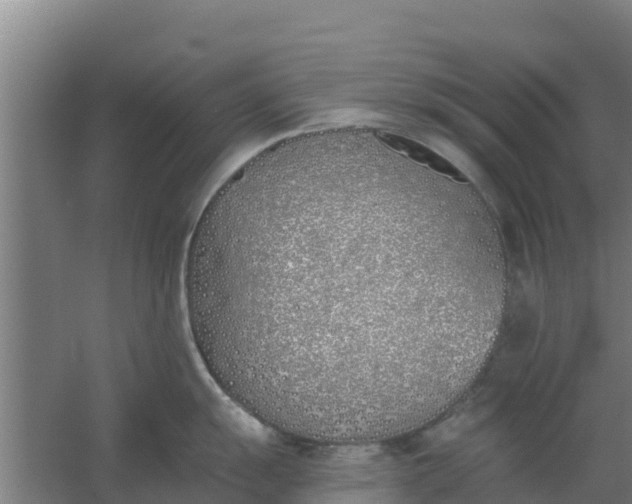 X0000059821055200511041714