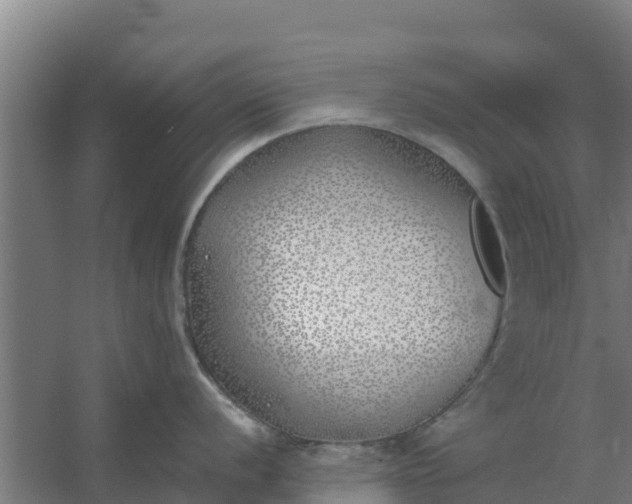 X0000059821056200511041715