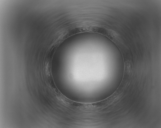 X0000059821060200511041714