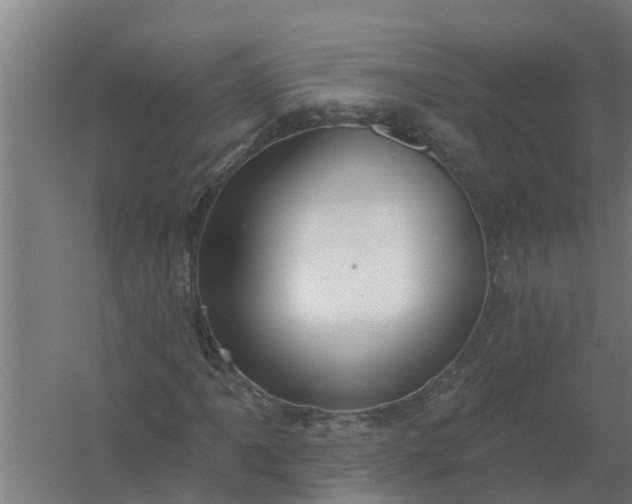 X0000059821061200511041714