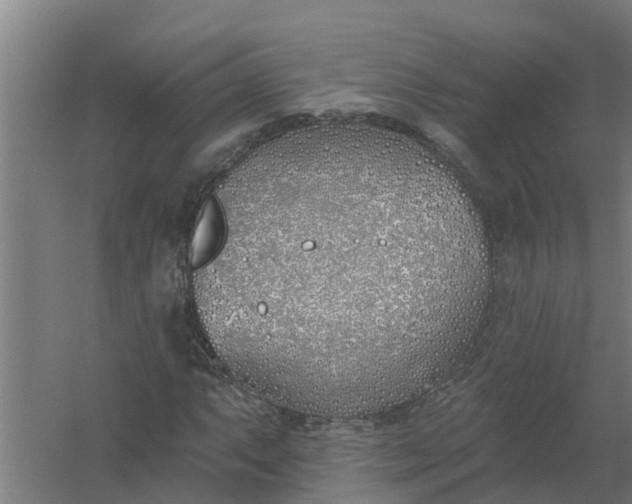 X0000059821063200511041714