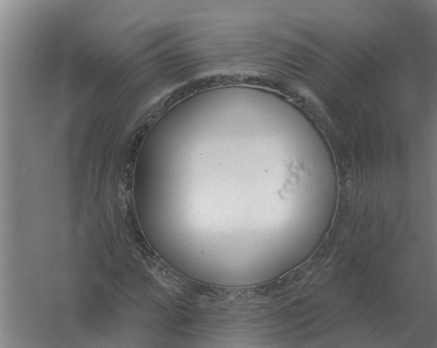 X0000059821064200511041714