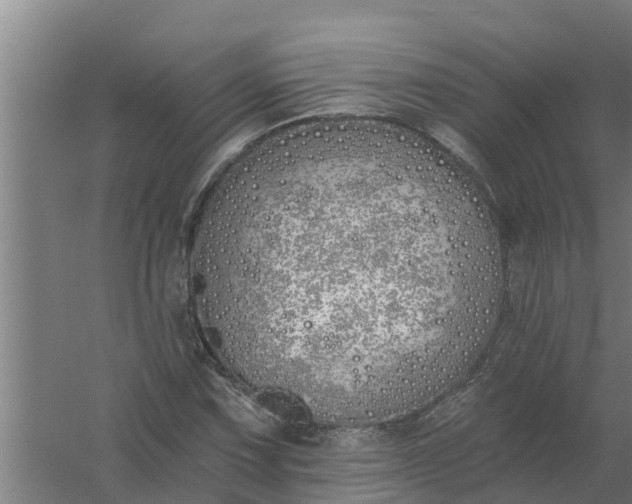 X0000059821067200511041714