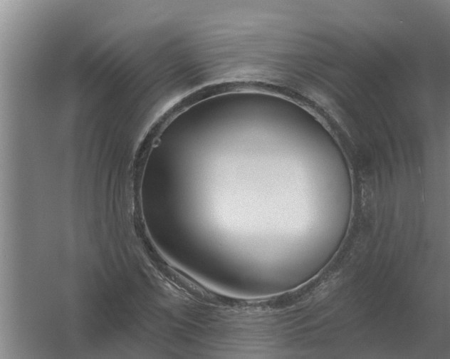 X0000059821069200511041713