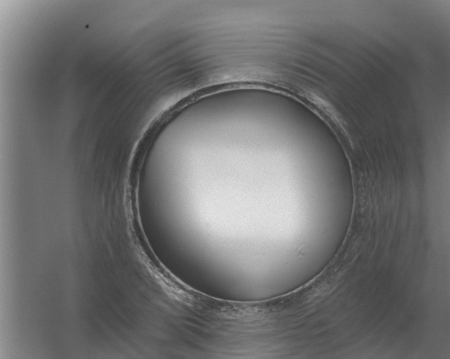 X0000059821072200511041713