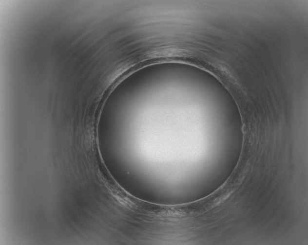 X0000059821073200511041713