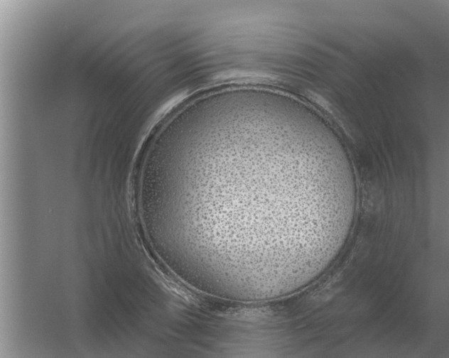 X0000059821074200511041713