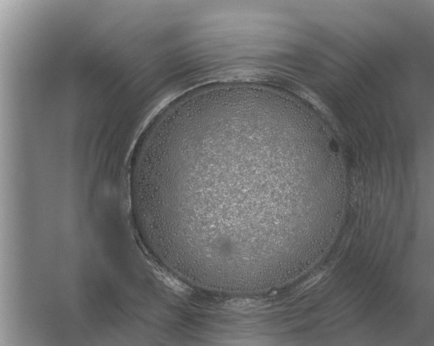 X0000059821075200511041713