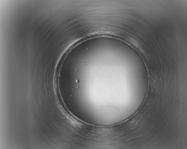 X0000059821076200511041713