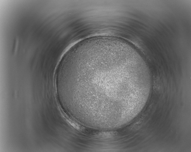 X0000059821078200511041713