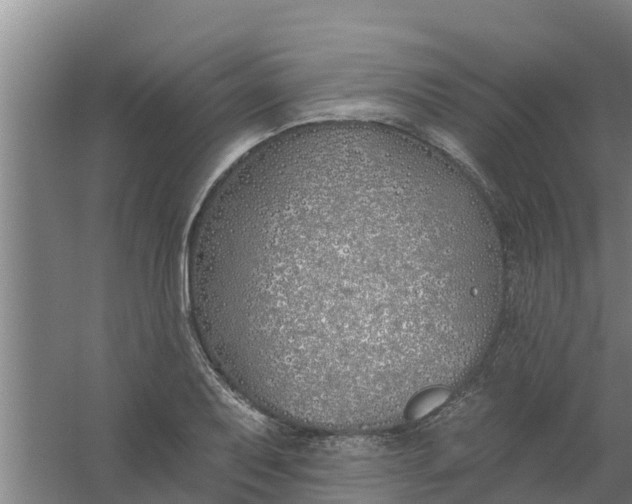 X0000059821079200511041713