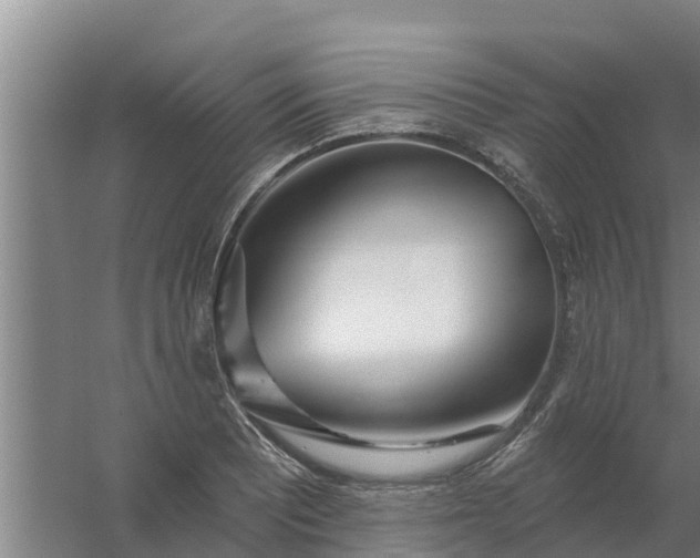 X0000059821081200511041713