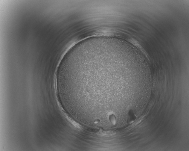 X0000059821083200511041713