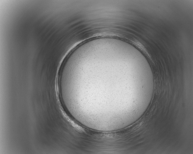 X0000059821084200511041713