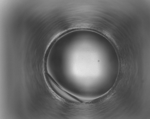 X0000059821085200511041713