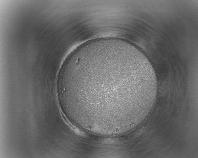 X0000059821086200511041713