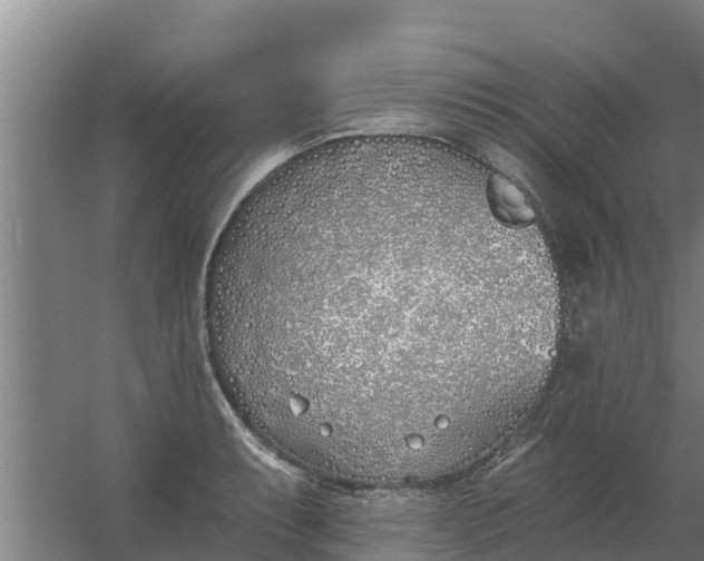 X0000059821087200511041713