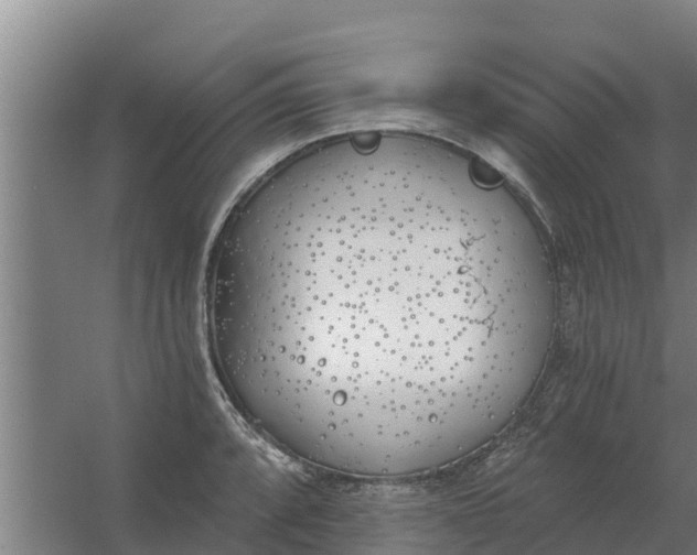 X0000059821088200511041713