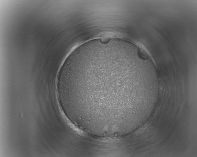 X0000059821091200511041713