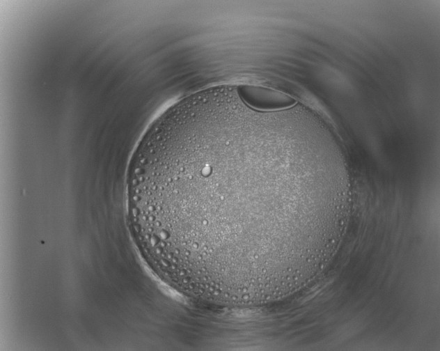 X0000059821095200511041713